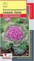 Капуста декоративная Камом пинк F1 (серия Kamome) Плз
