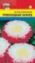 Астра Превосходный Гасфорд УУ