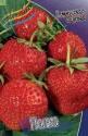 Земляника Садовая Полка 200 шт 