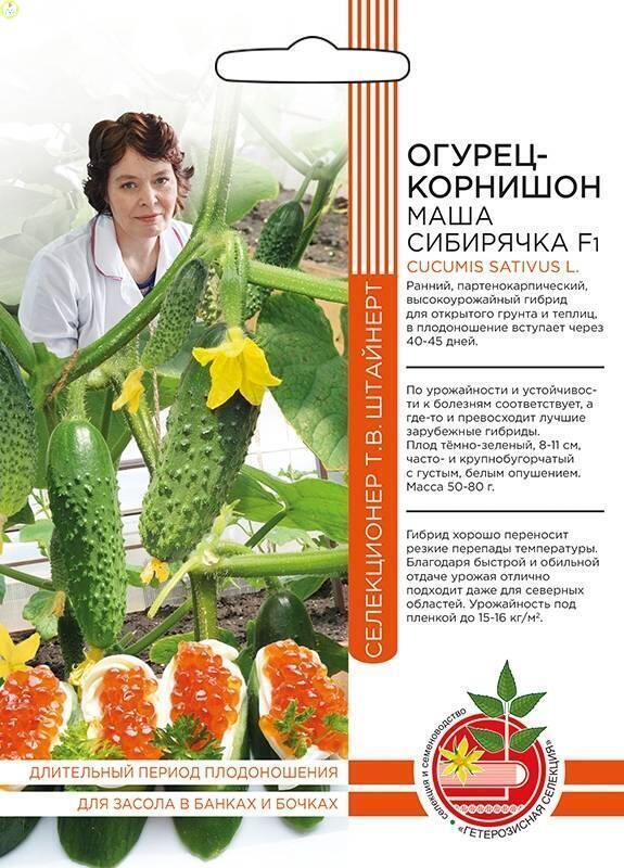 Огурец Маша Сибирячка корнишон F1 Б/Ф УД