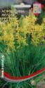 Асфоделина желтая Регги ССО