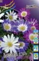 Анемона Бланда смесь 15шт