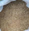Овес (мешок 15-35 кг)