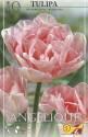 Тюльпан Анжелик махровые поздние 10 шт 11/12