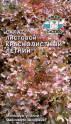 Салат Краснолистный летний Сед
