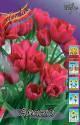 Тюльпан Авеню 11/12 7 шт