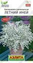Цинерария Летний Иней Аэл