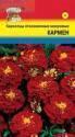 Бархатцы Кармен отклоненные УУ