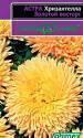 Астра Хризантелла Золотой восторг Гав