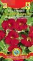 Настурция Красный мрамор Плз