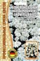 Иберис Snow Flurries вечнозеленый Реш
