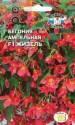Бегония Жизель ампельная клубневая Сед