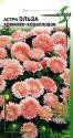 Астра Эльза кремово-коралловая ССО