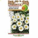 Астра Белые Альпы многолетняя альпийская НК
