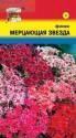 Флокс Мерцающая звезда УУ