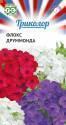 Флокс Смесь друммонда серия Триколор Гав