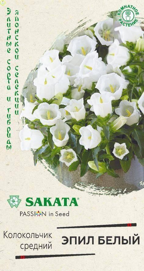 Колокольчик Эпил белый серия Саката Гав