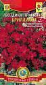 Гвоздика травянка Бриллиант Плз