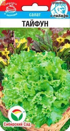 Салат Тайфун СС