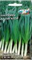 Лук порей Аллигатор Сед