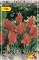 Тюльпан Торонто ботанический 25 шт 12/+