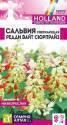 Сальвия Редди Вайт Сюрпрайз сверкающая СА