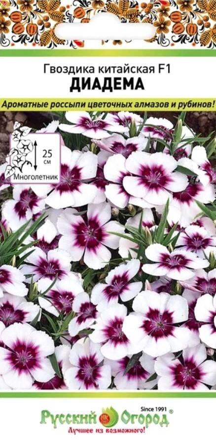 Гвоздика китайская Диадема F1 НК