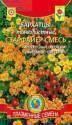 Бархатцы Старфайер тонколистные Плз