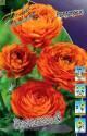 Ранункулюс Оранжевый 6/7 200 шт