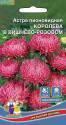 Астра Королева в вишнево-розовом пионовидная УД