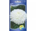 Астра Миледи белая Акв