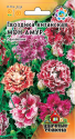 Гвоздика китайская Мон Амур УС Гав