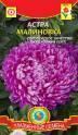 Астра Малиновка Плз