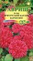 Астра Эрфуртский карлик кармезин Гав