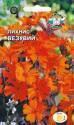 Лихнис Везувий красно-оранжевый Сед