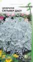 Цинерария Сильвер Даст ССО