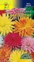 Георгина Кактусовая смесь ЦС