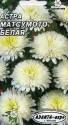 Астра Матсумото белая кустовая Аэл