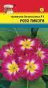 Примула Белиссима роуз пикоти F1 УУ
