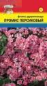Флокс Промис персиковый УУ