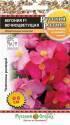 Бегония вечноцветущая Русский размер F1 НК