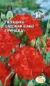 Гвоздика шабо Гренада Сед
