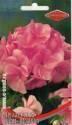 Пеларгония Люстра светло-розовая ССО