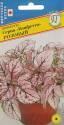 Гипоестес Конфетти Розовый Прес