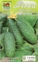 Огурец Меренга F1 Наш