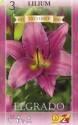 Лилия Эльградо 14/+ 3 шт 