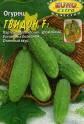 Огурец Гвидон F1 Аэл