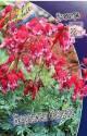 Дицентра Бернинг Хертс 25 шт