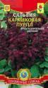 Сальвия Пурпл карликовая Плз