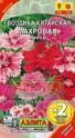 Гвоздика китайская Махровая смесь х2 Аэл